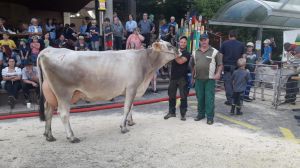 Miss Seeegemeinden BS Blooming Tochter Jacky von Josef Fleler Wissehrli Greppen